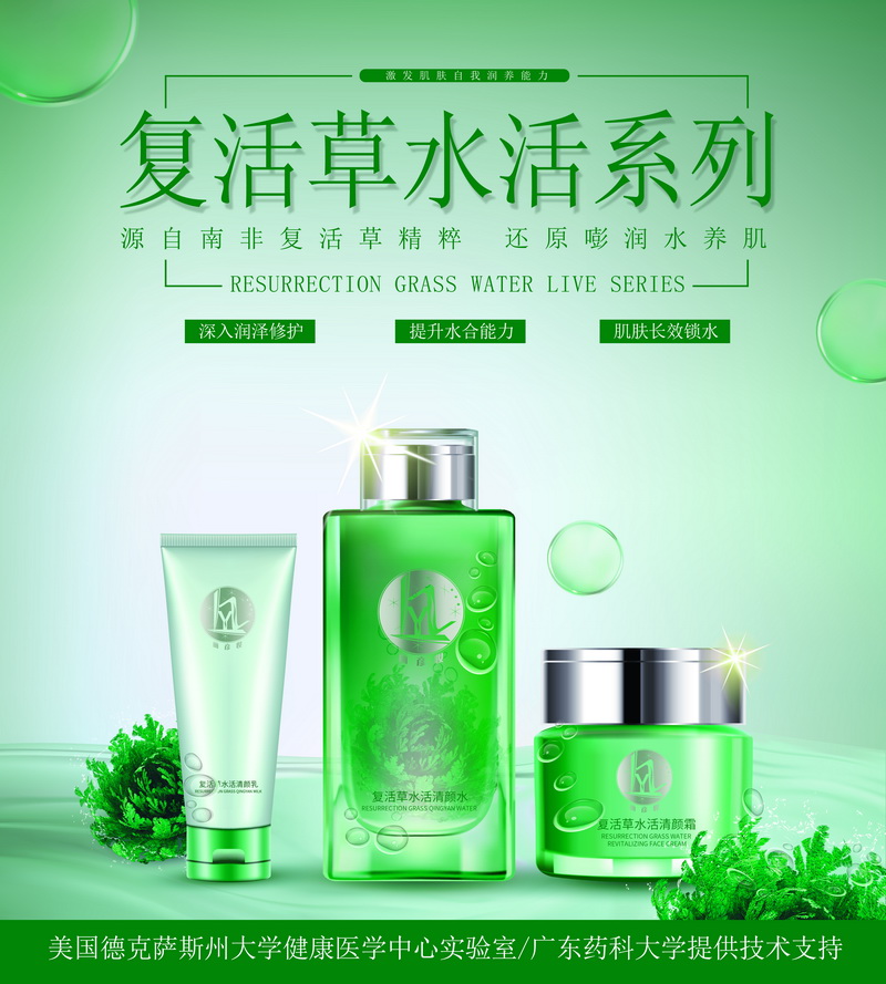 复活草（900×1000）.jpg